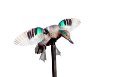 MOJO HW2474   ES GW TEAL