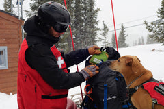 AMK 01350115 DOG SERIES TRAIL DOG KIT