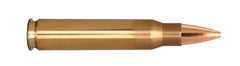 BERG 23020   223REM   73GR BT TRGT           20/10