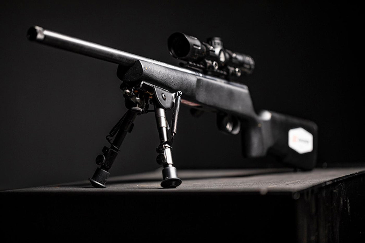SAV 13824 RASCAL     22LR TARGET XP SCP/BIPOD
