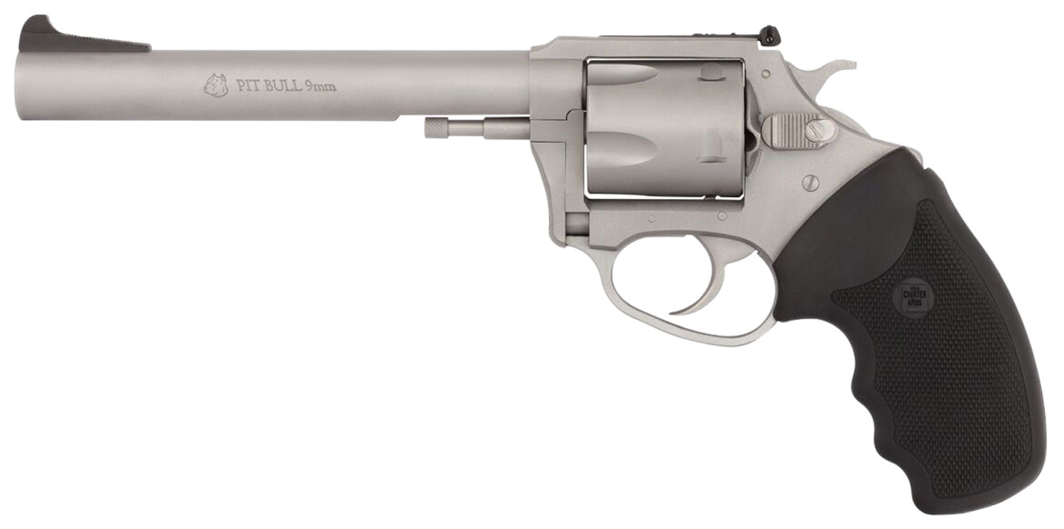 CHA 79960 PITBULL         9MM 6.0 5SHOT AS      SS