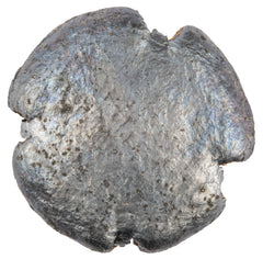 CROS LUM77        177 ULTRAMAG PELLET          500
