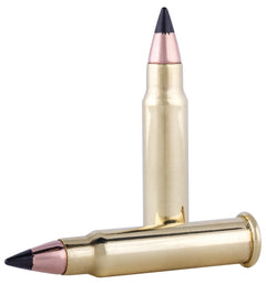 FED P771           17HMR    17 HORVMX        50/60