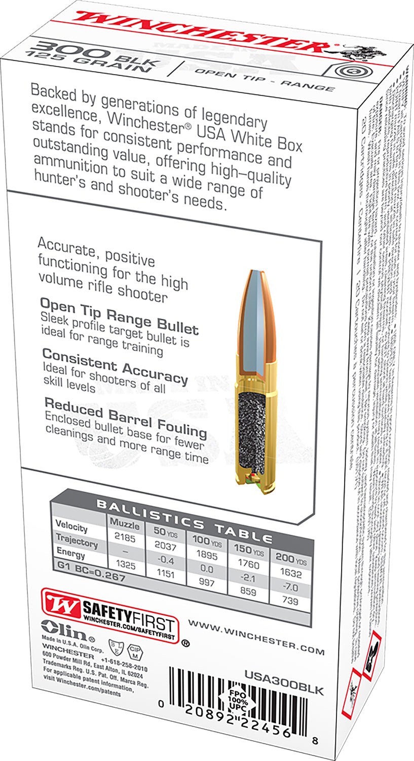 WIN USA300BLK       300BO   125 OTR          20/10