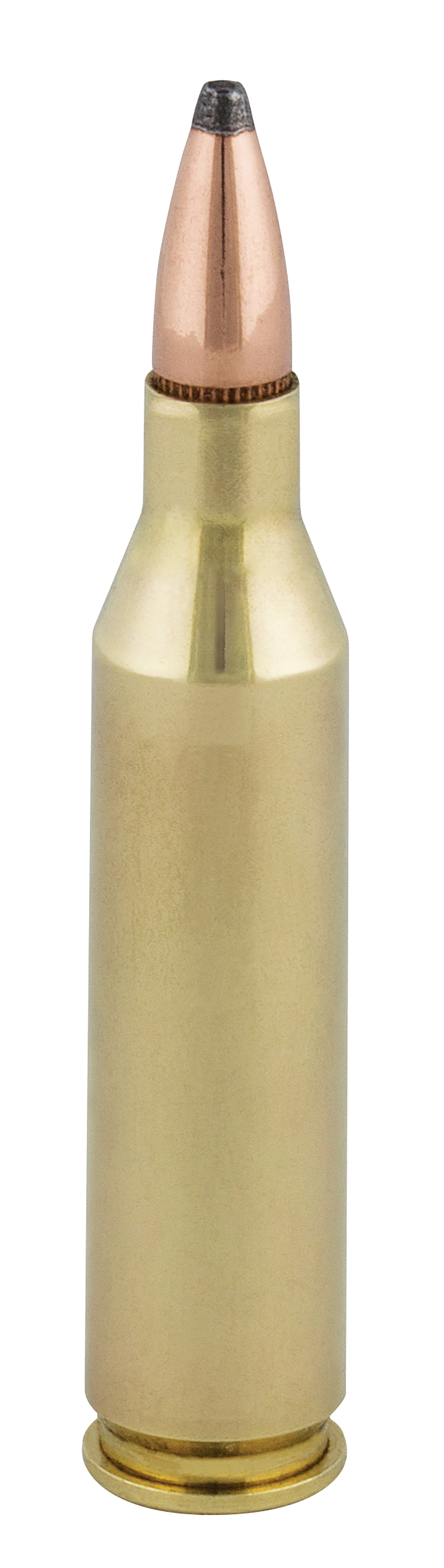 FED 243B           243     100 SP            20/10