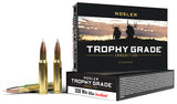 NOS 60049 TROPHY 308WIN   165 AB             20/10
