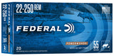 FED 22250A         22250    55 SP            20/10