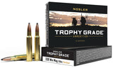NOS 60082 TROPHY 338WIN   250 PT             20/10