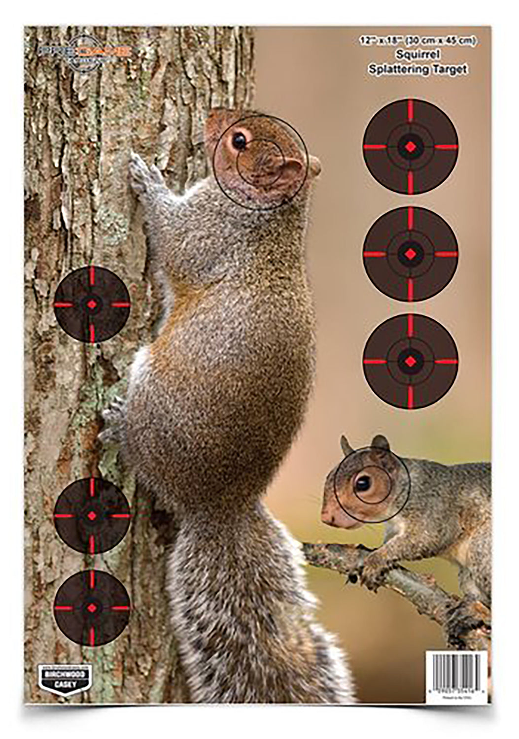 BIR 35406          PREGAME 12X18 SQRL REACTIVE 8PK