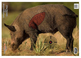 BIR 35408          PREGAME 16.5X24 BOAR        3PK