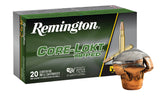 REM 29015 RT243WA  243      95 CL            20/10