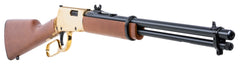 ROSSI RL22181WDGLD1  RIO BRAVO    22LR 18 15R  GLD