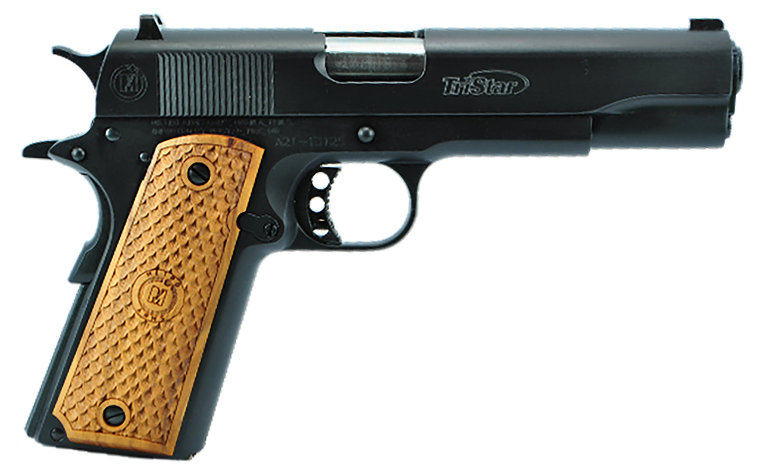 TRI 85604  AM CLASS GOV 1911 9MM       BL    10RD