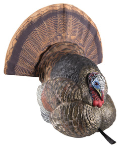 AVIAN AVXAVX8004   LCD STRUTTER             DECOY