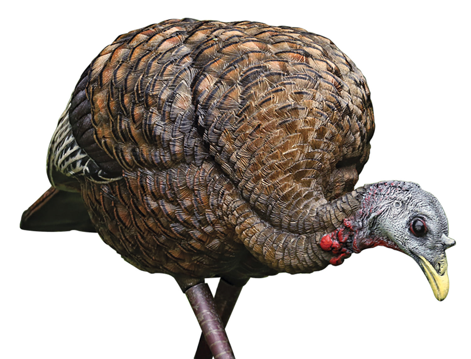 AVIAN AVXAVX8007   LCD FEEDER  HEN          DECOY