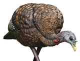 AVIAN AVXAVX8007   LCD FEEDER  HEN          DECOY