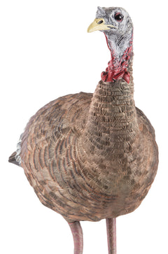 AVIAN AVXAVX8006   LCD LOOKOUT HEN          DECOY