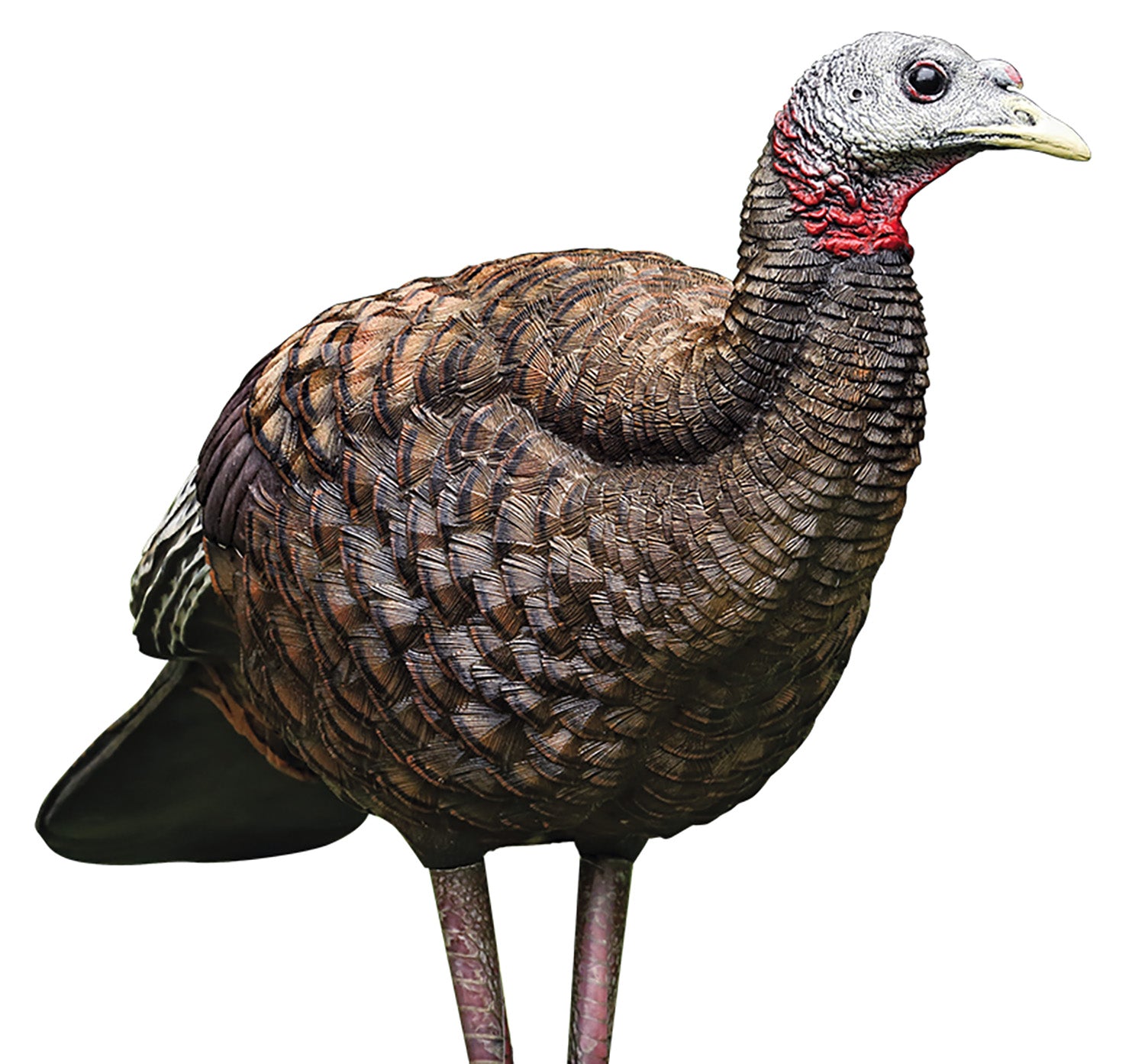 AVIAN AVXAVX8008   LCD BREEDER HEN          DECOY