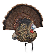 AVIAN AVXAVX8021   TROPHY TOM               DECOY