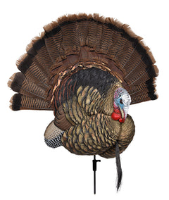 AVIAN AVXAVX8021   TROPHY TOM               DECOY