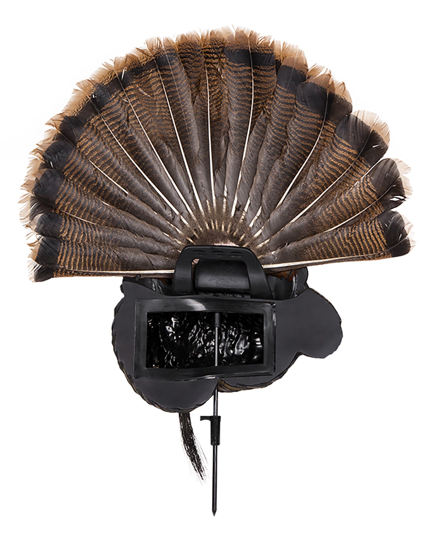 AVIAN AVXAVX8021   TROPHY TOM               DECOY