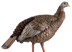 AVIAN AVXAVX8106   HDR HEN                  DECOY