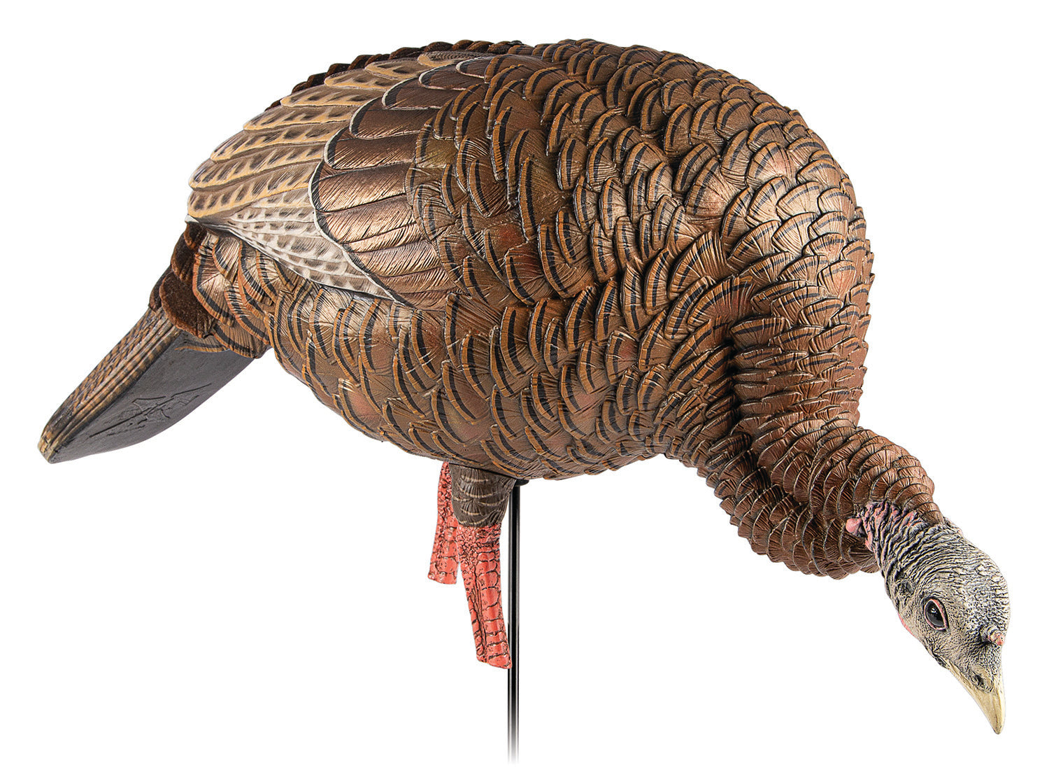 AVIAN AVXAVX8107   HDR FEEDING HEN          DECOY