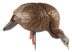 AVIAN AVXAVX8107   HDR FEEDING HEN          DECOY