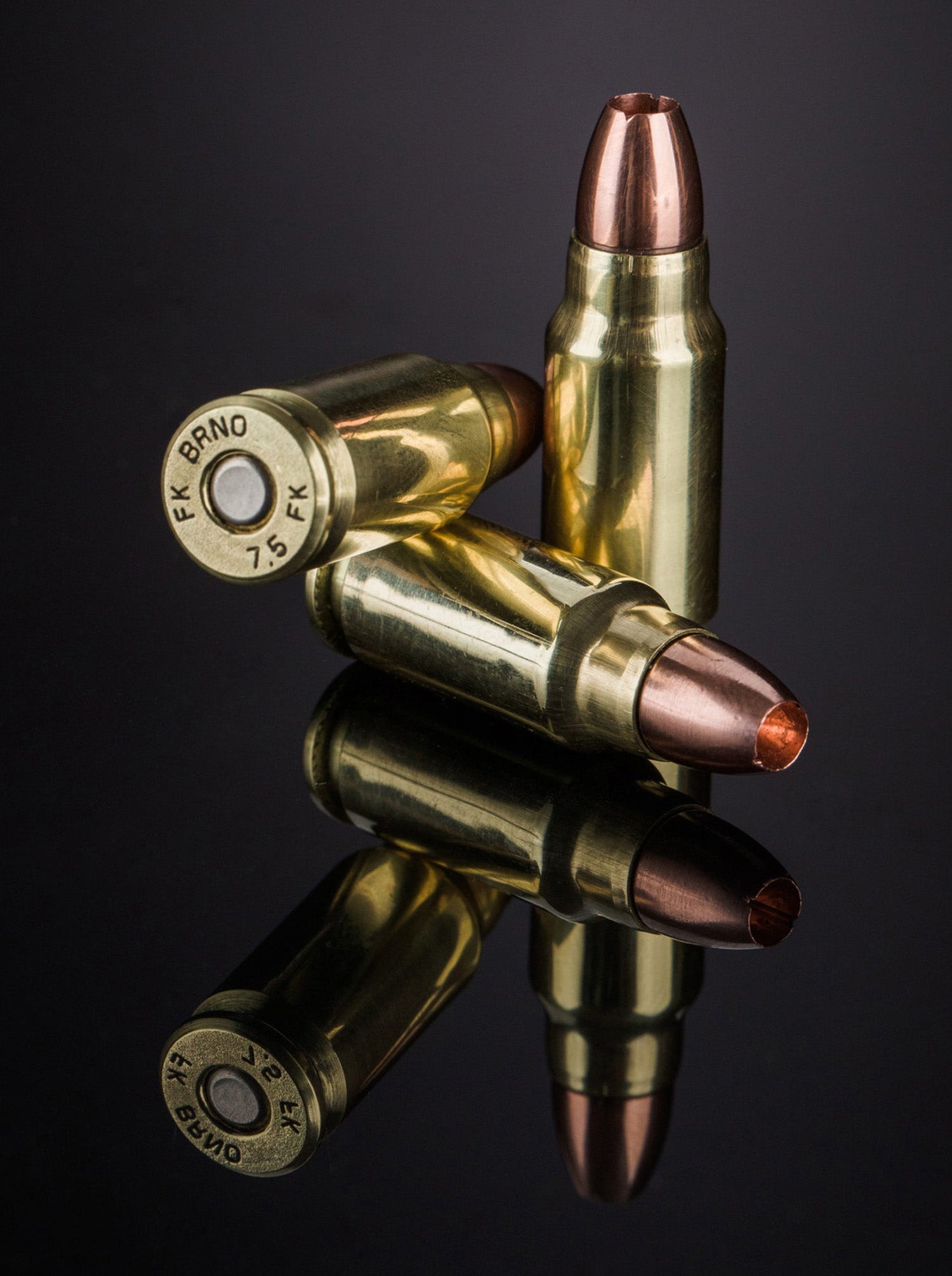 IFG FKBRUNO FK-AMMOF5-50 AMMO 7.5FK 95GR     50/12