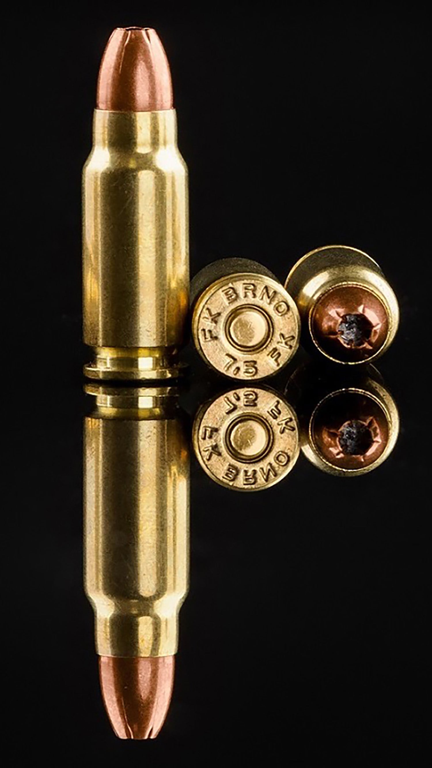 IFG FKBRUNO FK-AMMOF9-50 AMMO 7.5FK 101GR    50/12