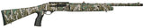 MOSS 75799 SA-20    20 22 TKY PG           MOGREEN