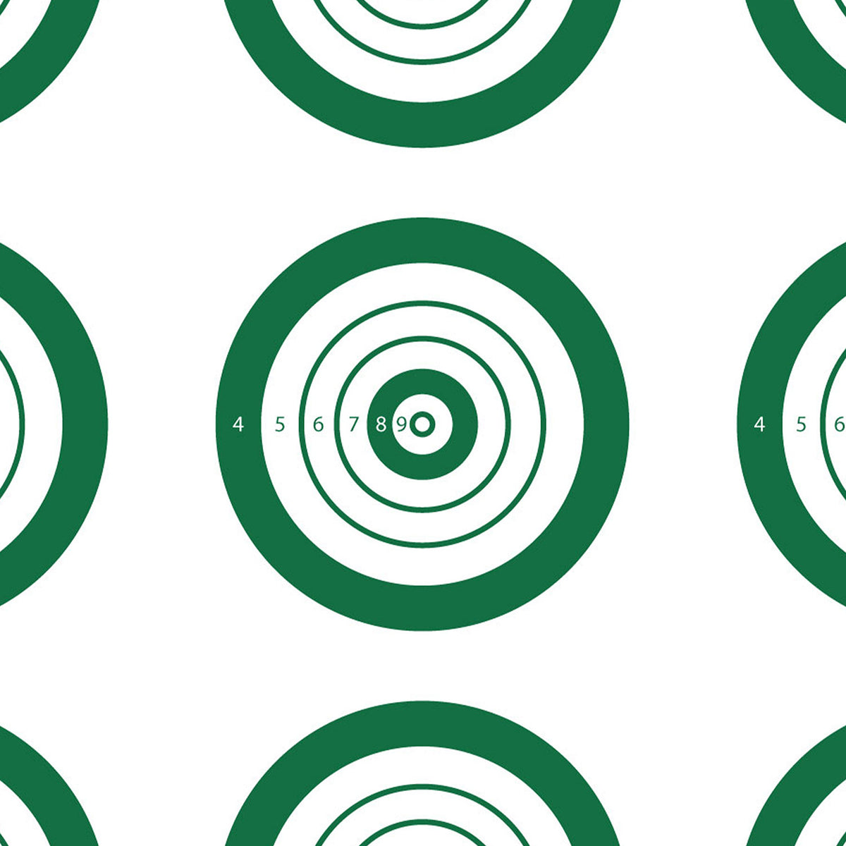 ALLEN 15582   IBS RIMFIRE TARGET  25 PK