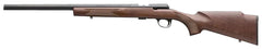 BRN 025253202 TBLT TARGET       22LR   20  10R WAL