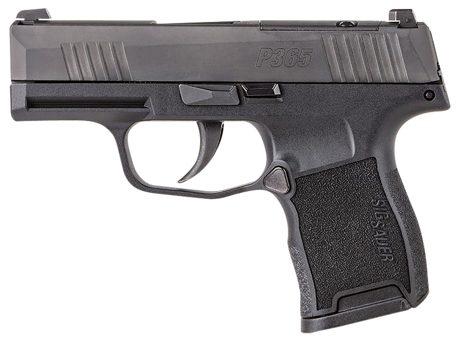 SIG 365380BSSMSMA   *MA*P365 380ACP MS 3.1 10R BLK