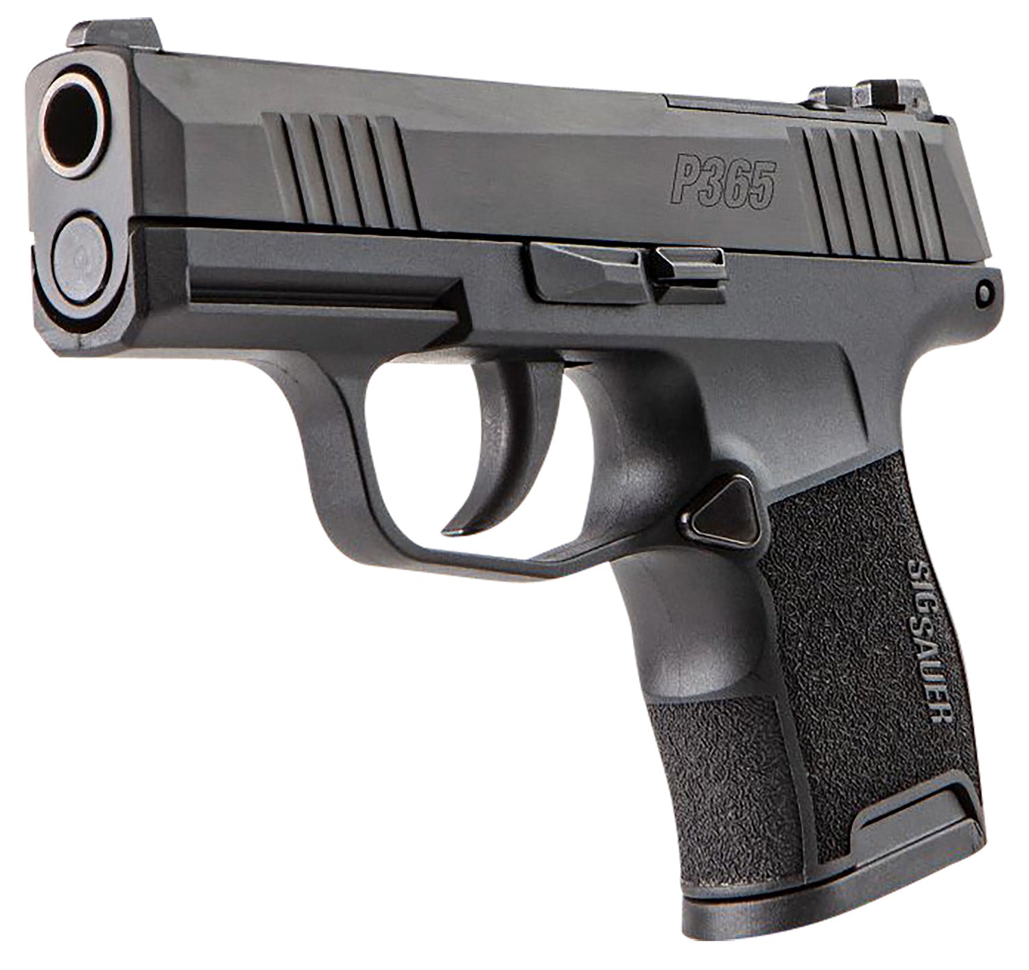 SIG 365380BSSMSMA   *MA*P365 380ACP MS 3.1 10R BLK