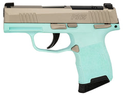 SIG 365380REBMS         P365 380 XR3MS 3.1 10R TRQ