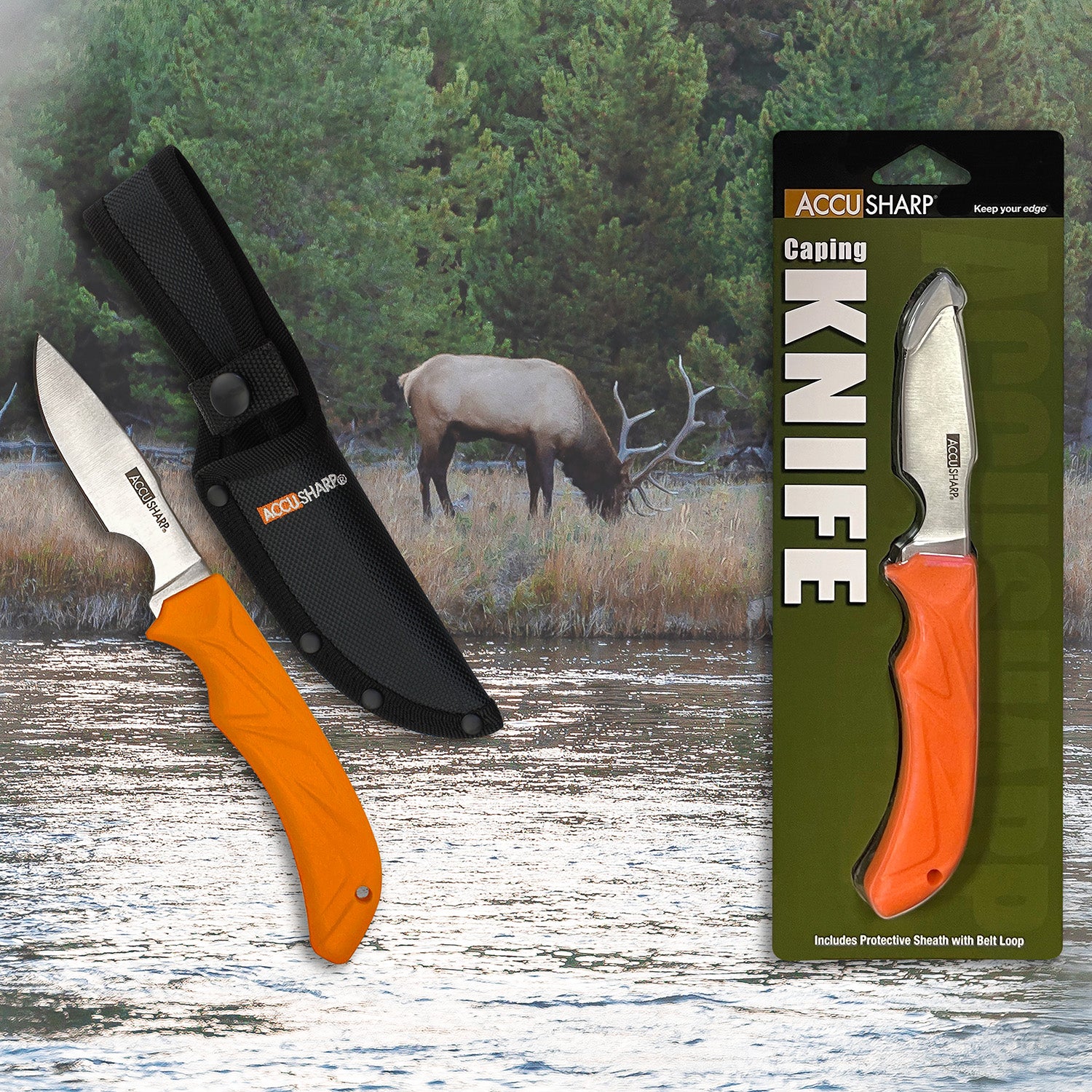 FPI 731C  ACCUSHARP CAPING KNIFE