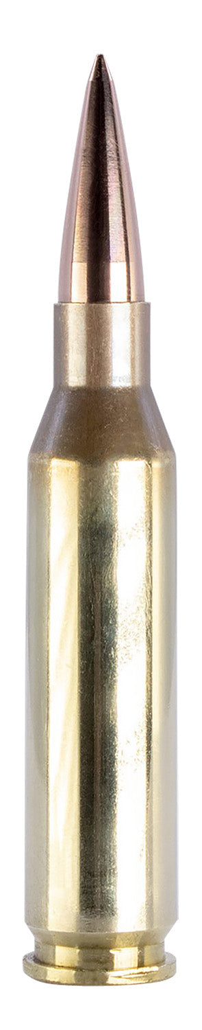 FSM 260-123-SCV2      260REM 123G  TUI       20/10