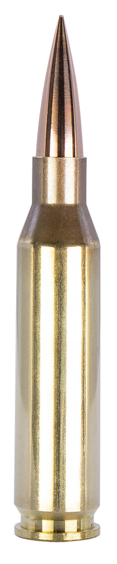 FSM 260-130-SCV2      260REM 130G  TUI       20/10