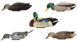 AVIAN AVX-PSH-MDPR POWER SHAKER PREENER/MALLRD DRK