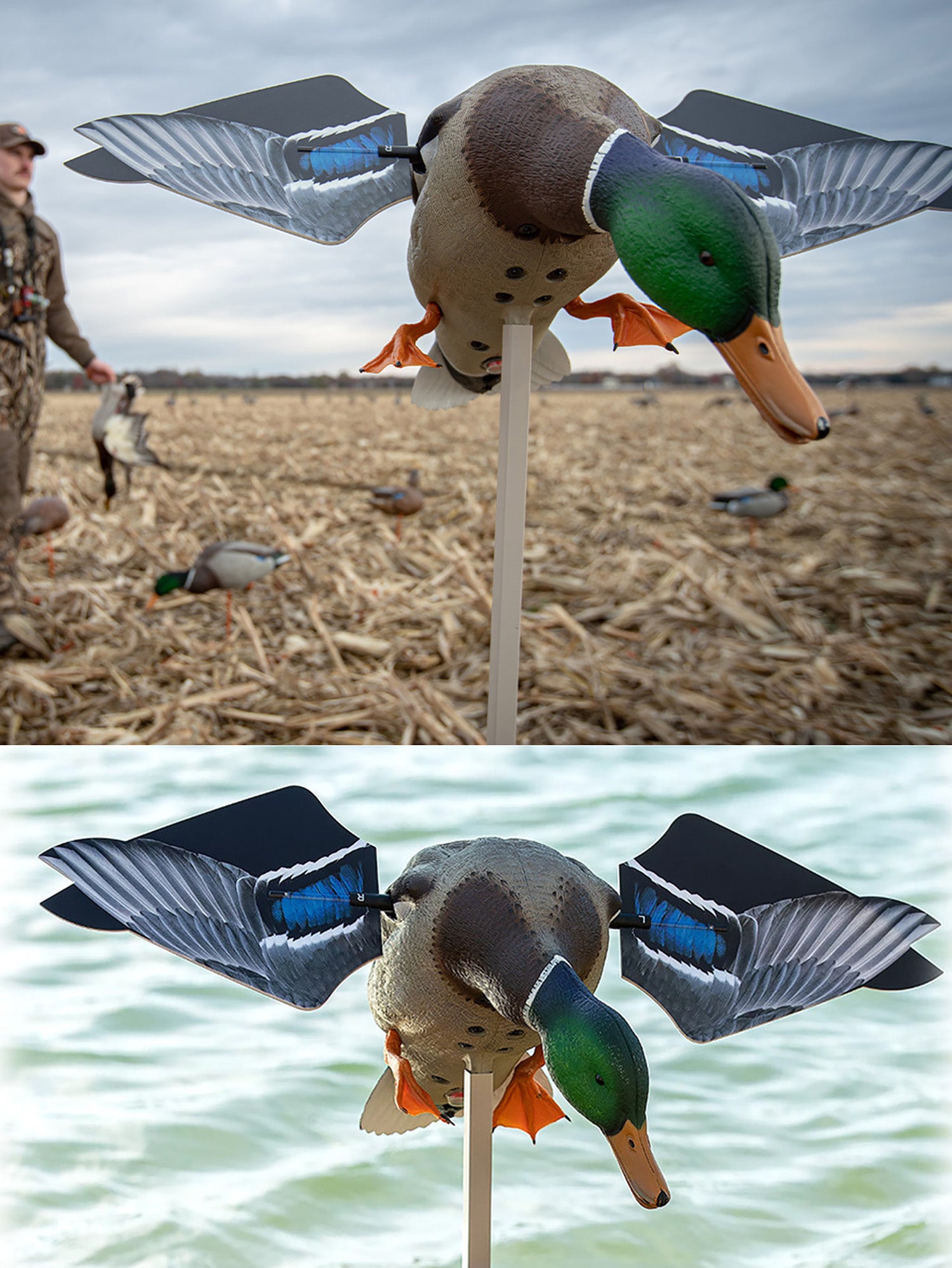 AVIAN AVX-AVXDP100 POWERFLIGHT SMART MOTION MALLRD