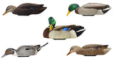 AVIAN AVX-PSH-MHSF POWER SHAKER/MALLRD HEN SURFD