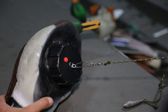 AVIAN AVX-PSH-MHSF POWER SHAKER/MALLRD HEN SURFD