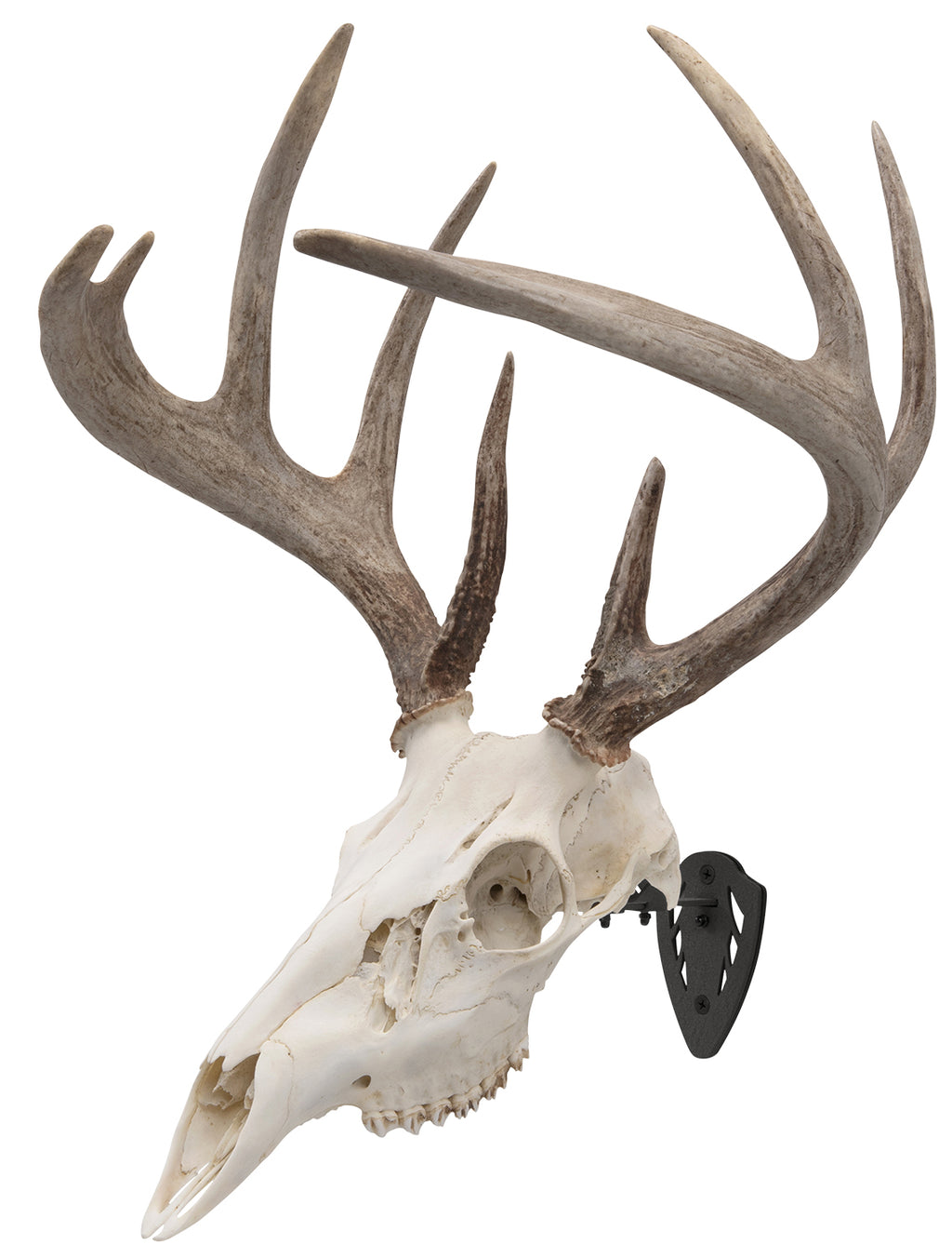 ALLEN 7227   EZ MOUNT SKULL HANGER BLACK