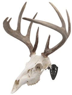 ALLEN 7227   EZ MOUNT SKULL HANGER BLACK
