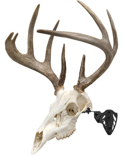 ALLEN 7254   EZ MOUNT TROPHY SKULL HANGER BLACK