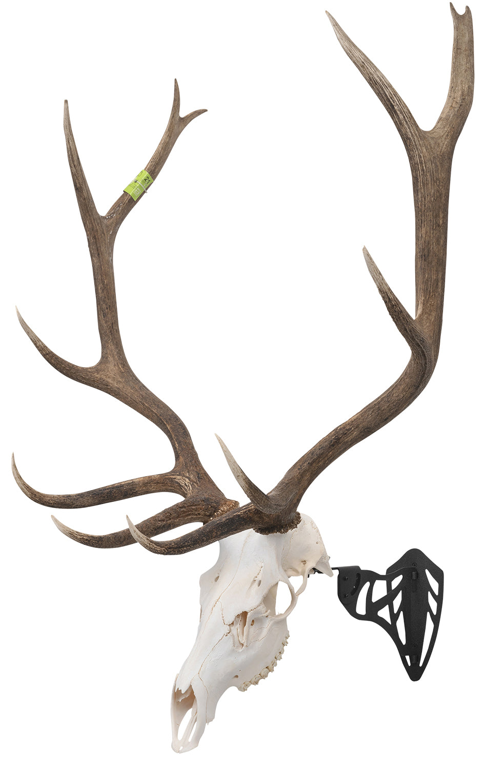ALLEN 7223   EZ MOUNT MAGNUM SKULL HANGER BLACK