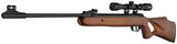 BLS 25000205 DIANA TWO-FIFTY CAL 4,5MM(.177)22J WD