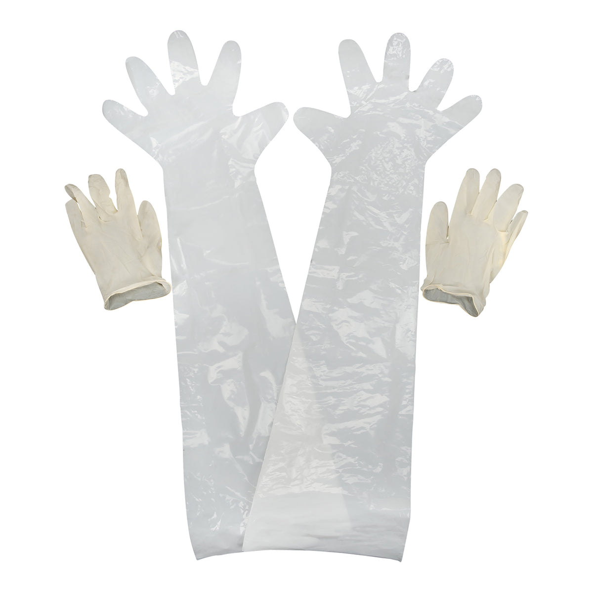 ALLEN 51     FIELD DRESSING GLOVES 2PK