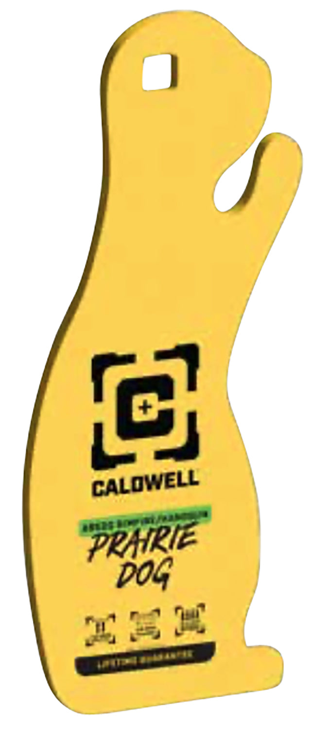 CALD 4002313   AR500 1/4